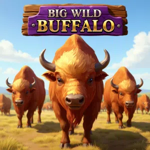 big wild buffalo